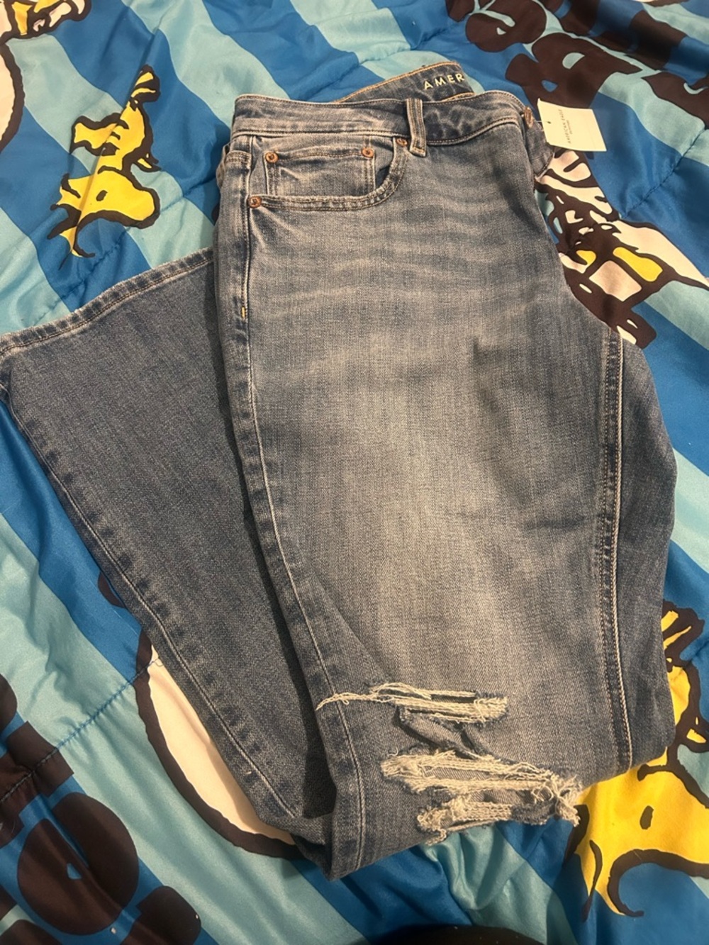 Light Wash Ripped Skinny Jeans